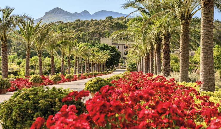 Castell Son Claret Mallorca driveway palm trees red flowers hotel in background