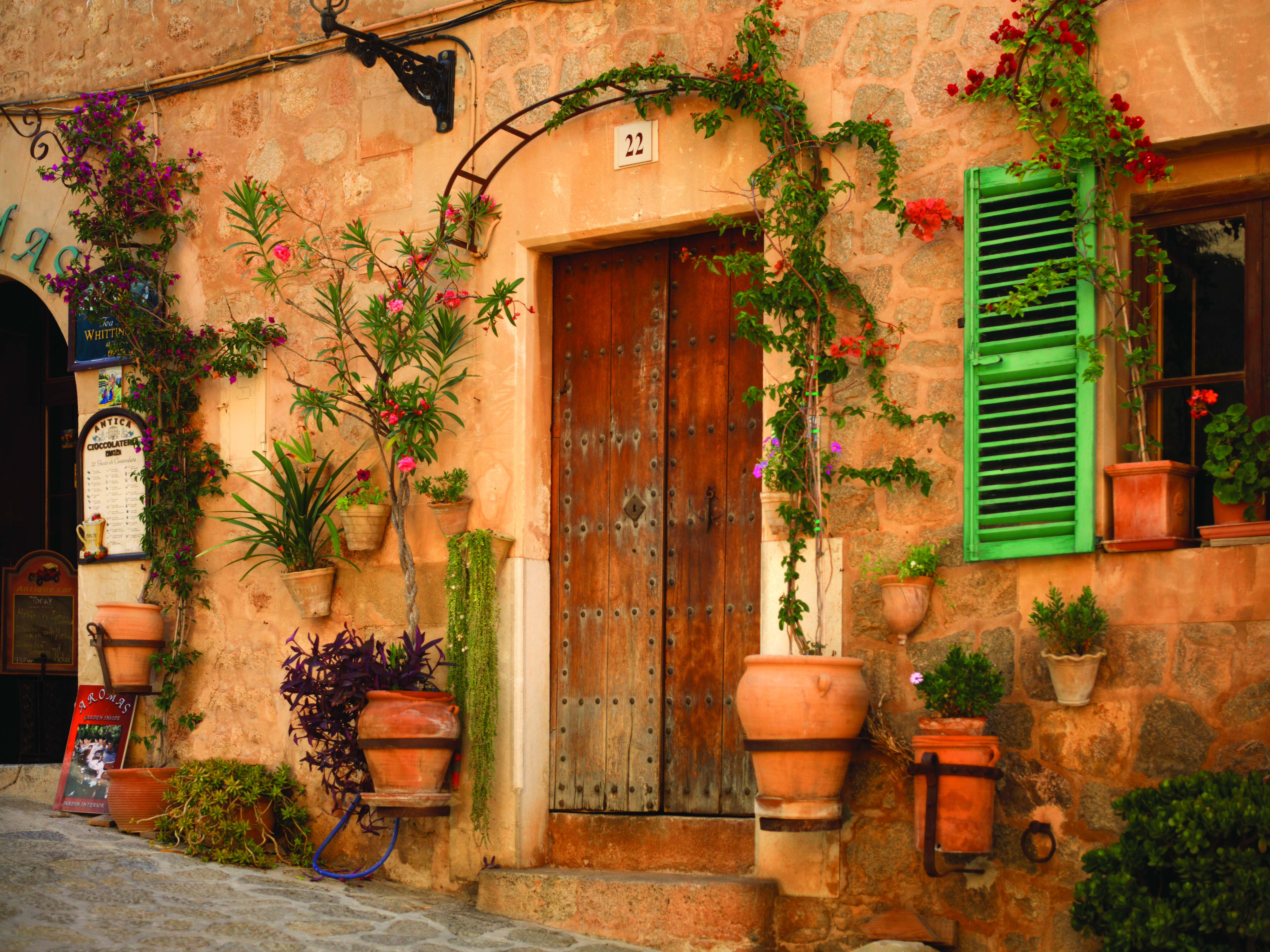Exterior entrance to the hotel with large palm tree out front and name of hotel 