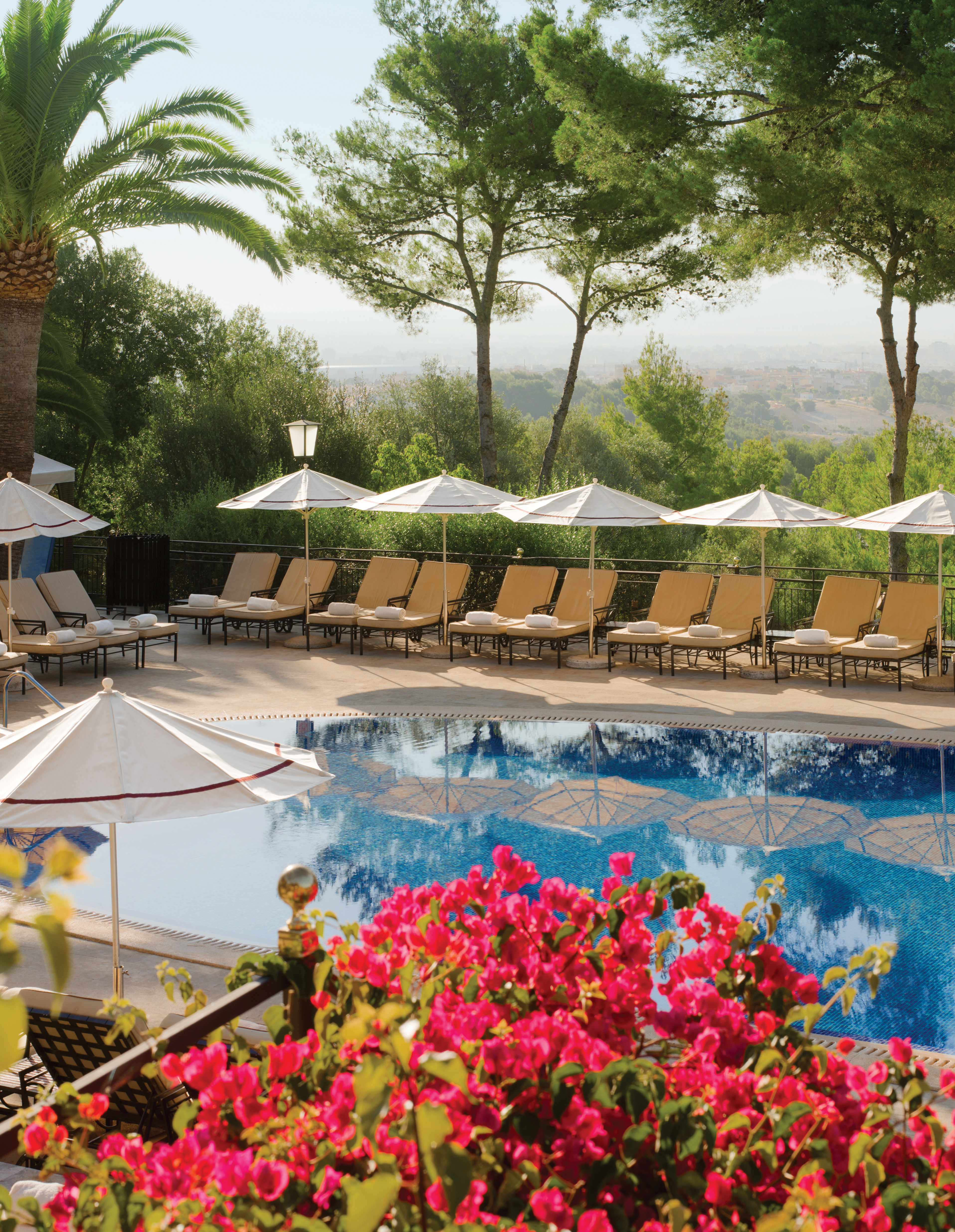 Outdoor pool with umbrellas and sun loungers set up around the pool and pink flowers shown nearby