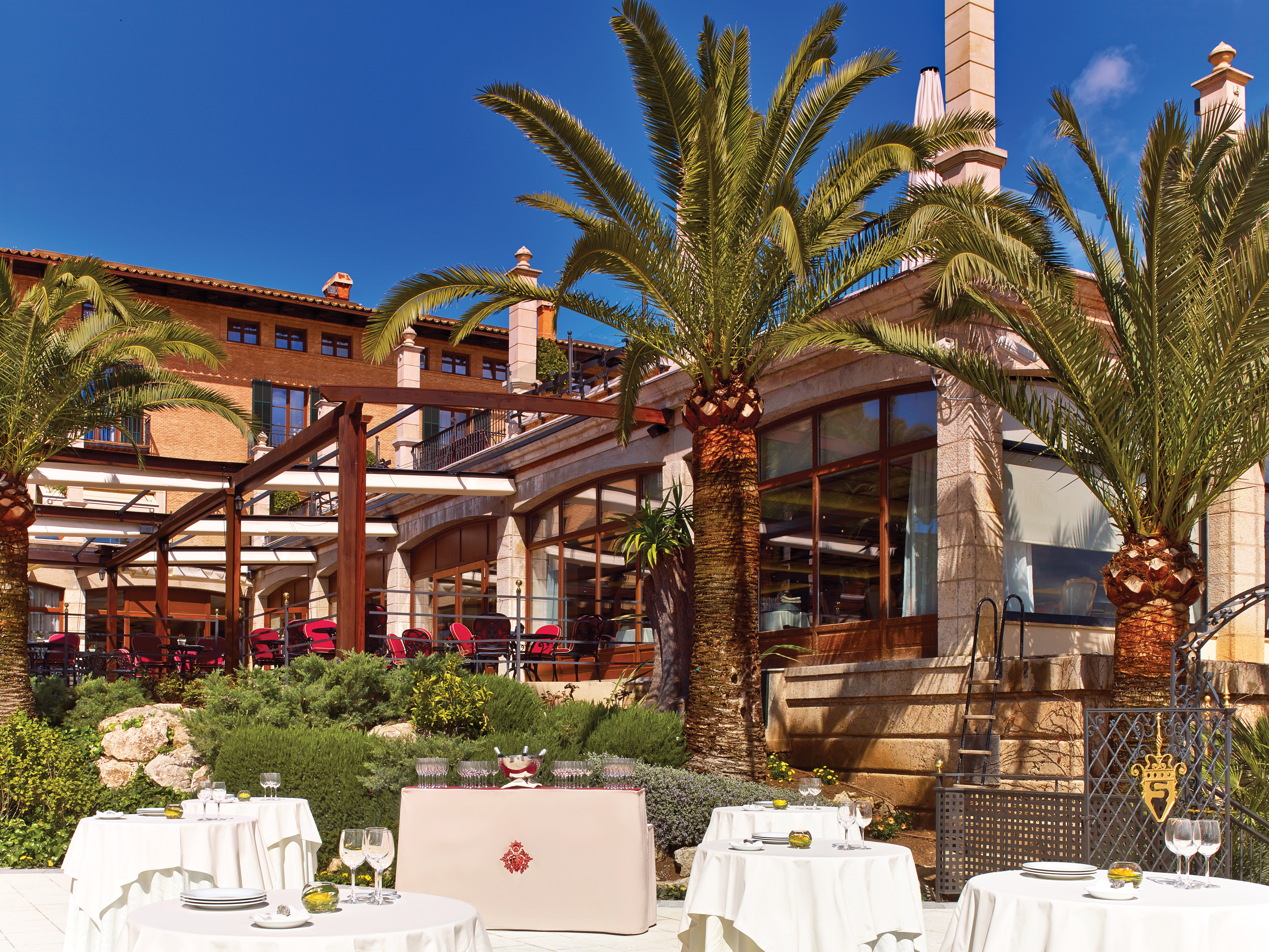 Pool terrace with palm trees, sun loungers and seating areas above