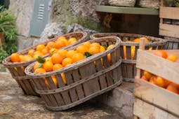 Baskets and crates of oranges with some greenery in Mallorca