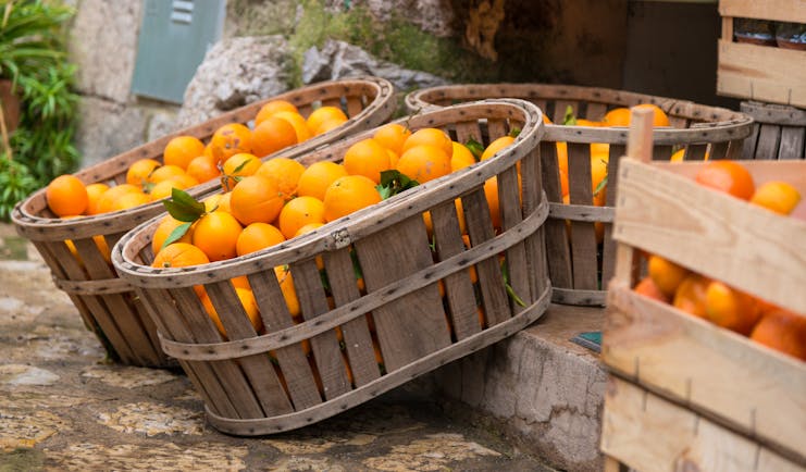 Baskets and crates of oranges with some greenery in Mallorca