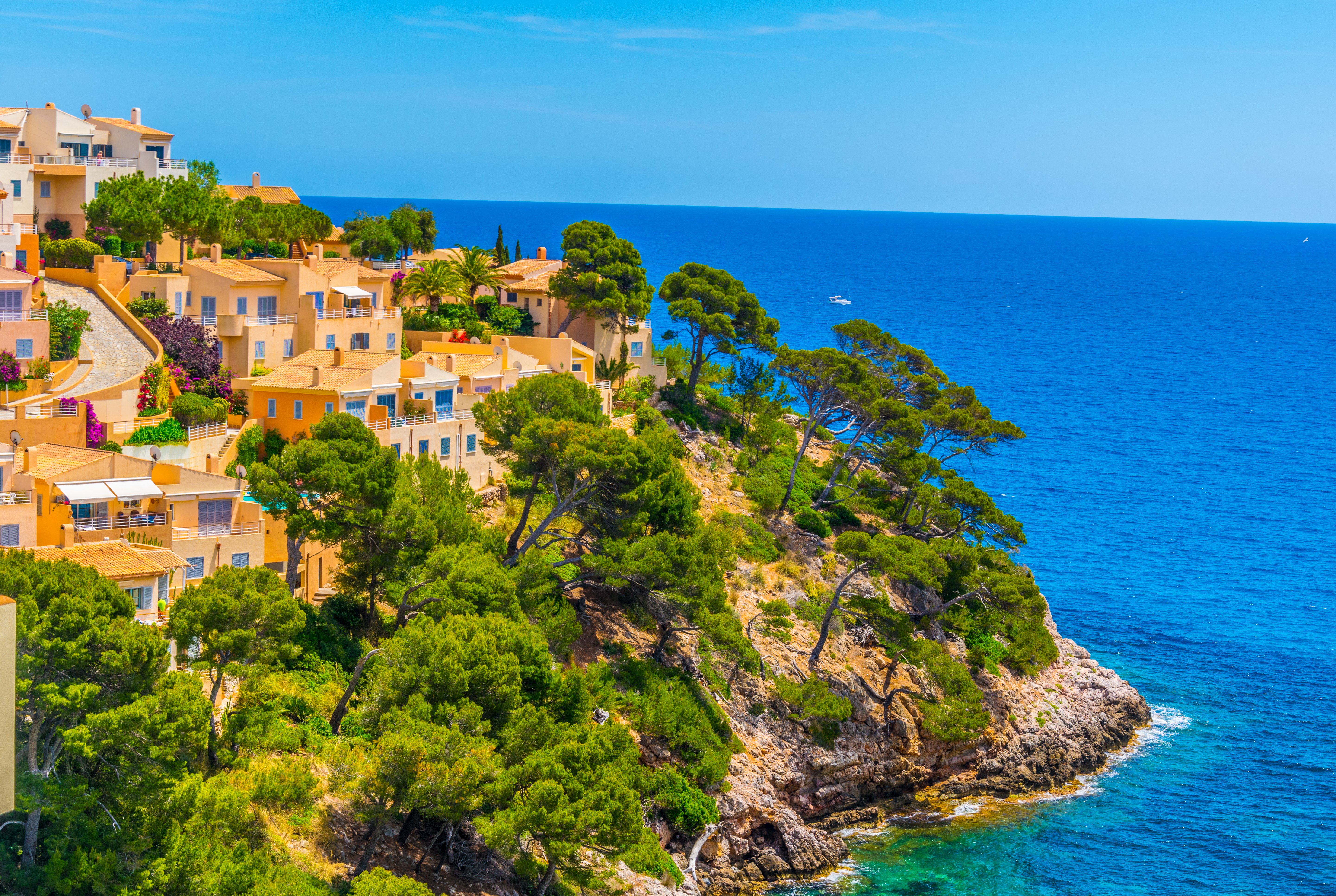 Yellow houses with blue shutters on cliff with umbrella pine trees with blue sea below at Canyamel Mallorca