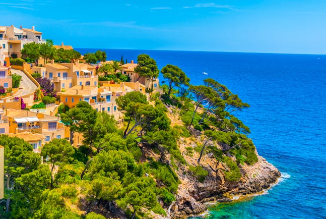 Yellow houses with blue shutters on cliff with umbrella pine trees with blue sea below at Canyamel Mallorca