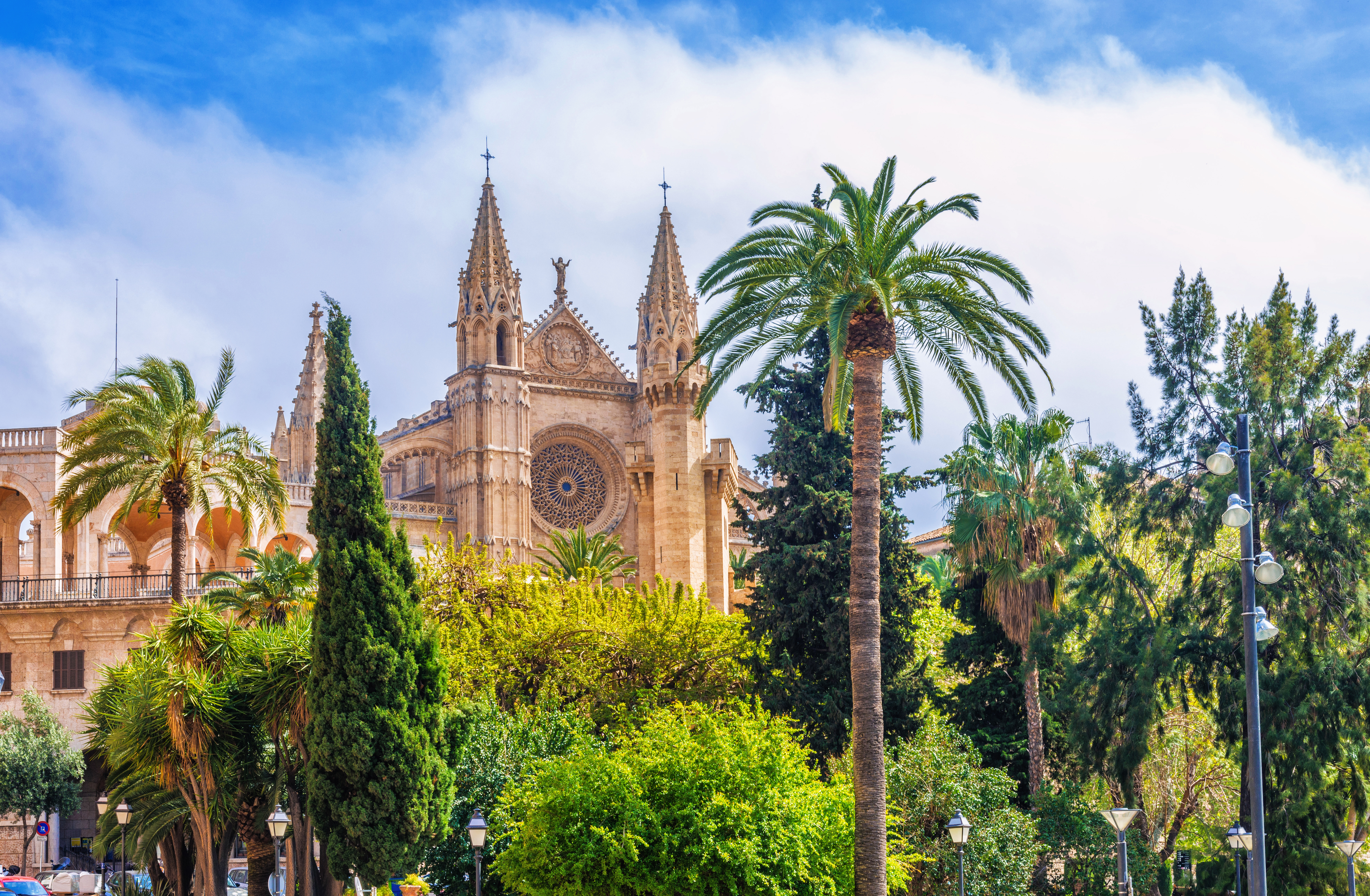 The spires and front of the Cathedral of Le Seu flanked by palm trees in Palma Mallorca