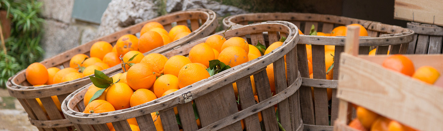 Wooden crates of oranges