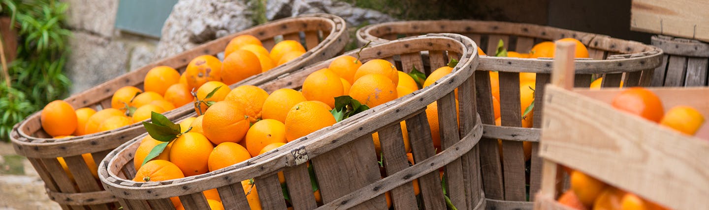 Wooden crates of oranges
