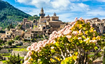 Pink flowers in foreground and church spire and stone houses with terraced gardens at Valldemossa