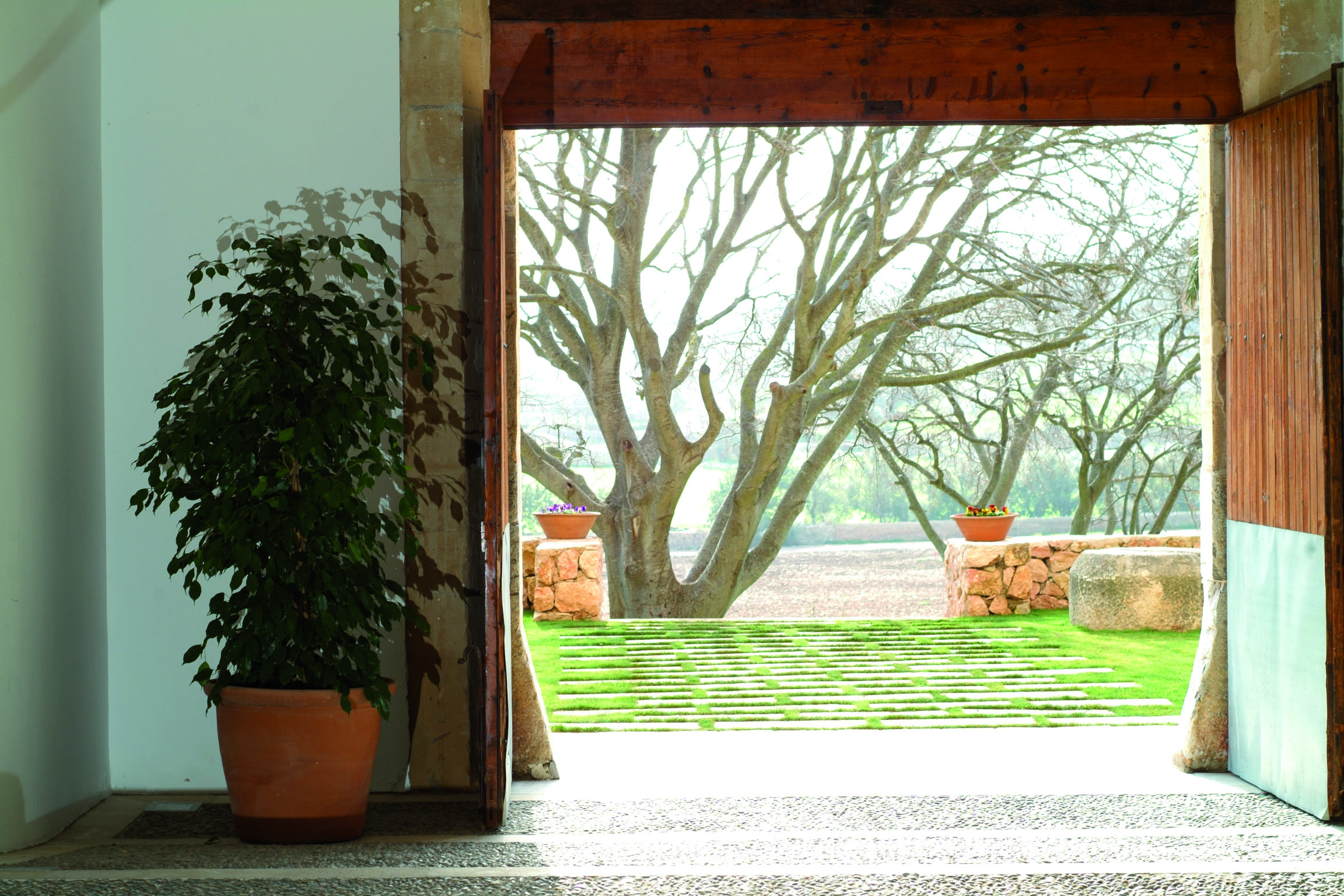 Son Brull Mallorca view from inside gardens trees