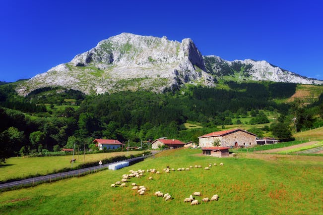 Country scene with fields and mountains with animals grazing in the Spanish Basque country