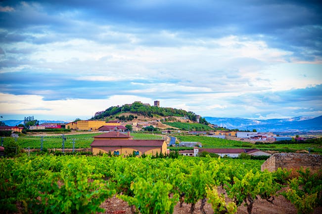 Vineyards and winery buildings with hill in background in Rioja in September 