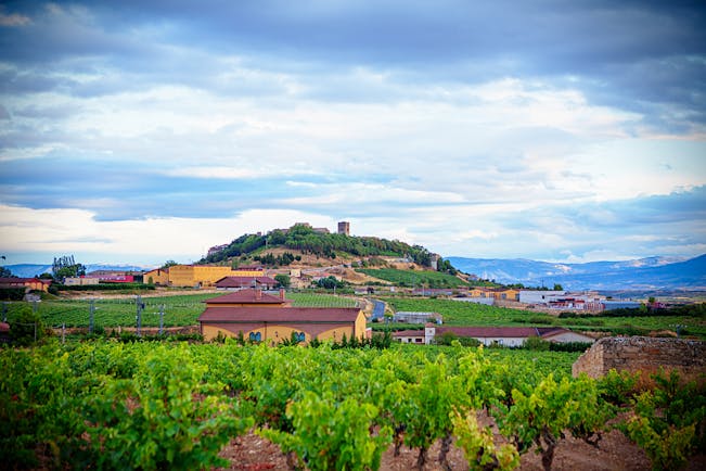 Vineyards and winery buildings with hill in background in Rioja in September 