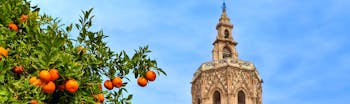 Orange tree and spire in Valencia