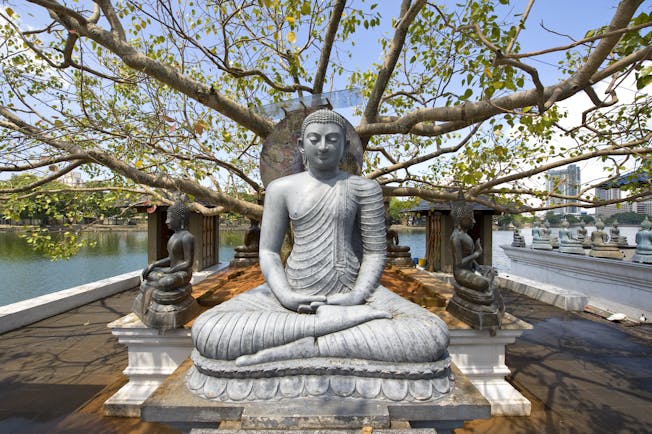 Buddha statue under a tree in Colombo, intricate carving