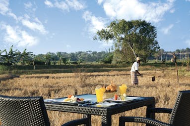 Aliya Sri Lanka paddy field breakfast outdoor dining beside paddy fields