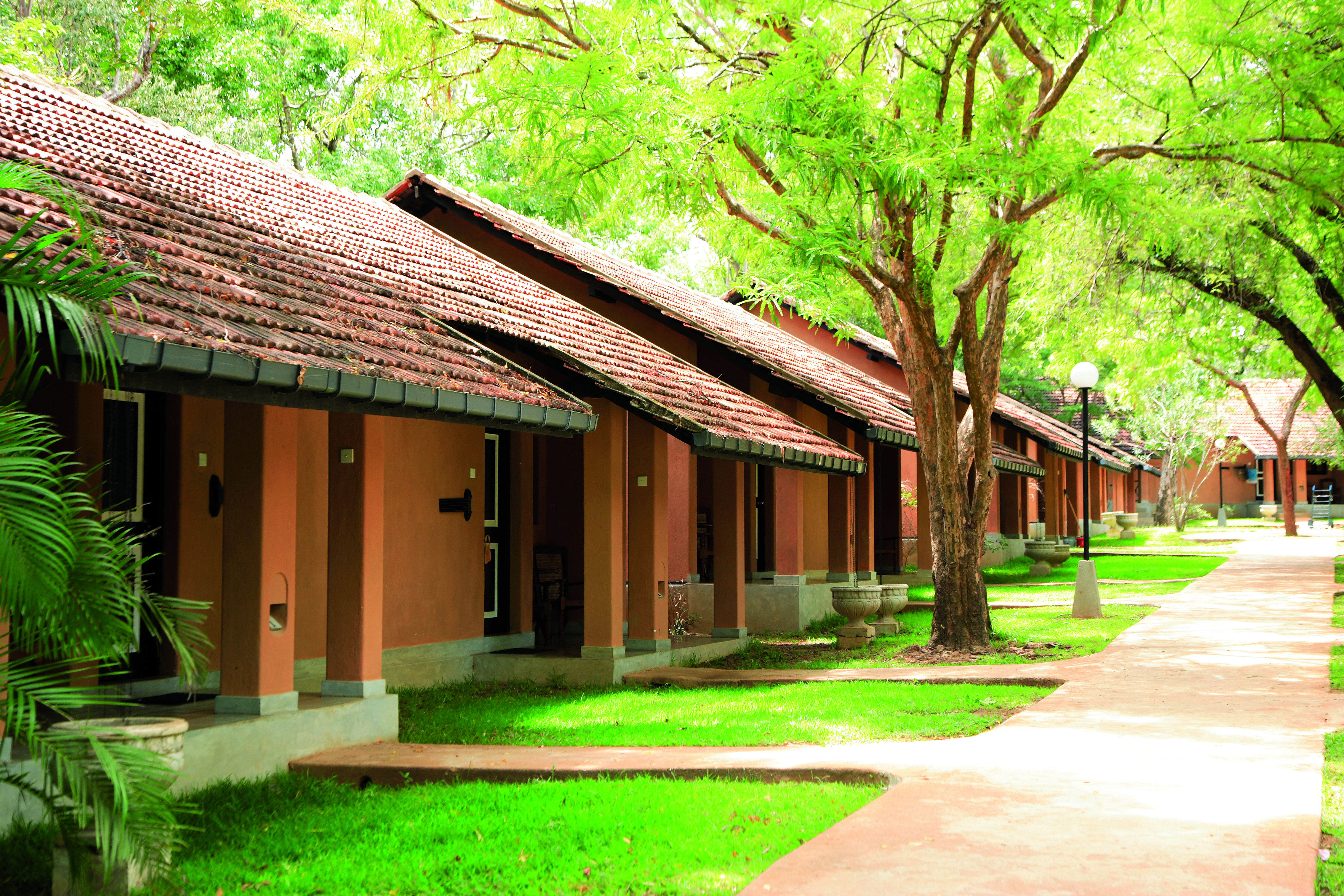 Chaaya Village Sri Lanka cottages exterior pathway lawns trees