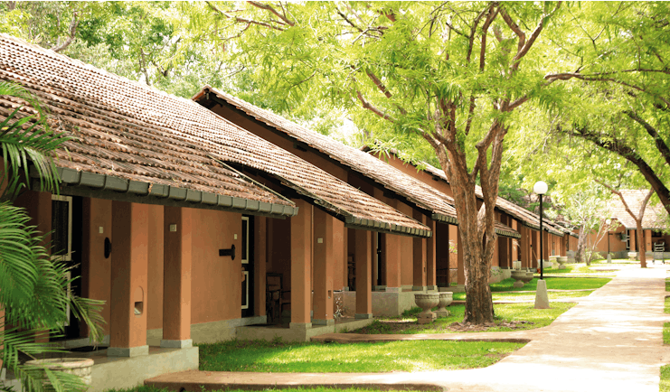 Chaaya Village Sri Lanka cottages exterior pathway lawns trees