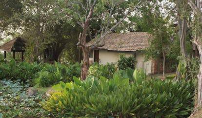 Deer Park Sri Lanka cottage garden cottages in forest gardens and pond