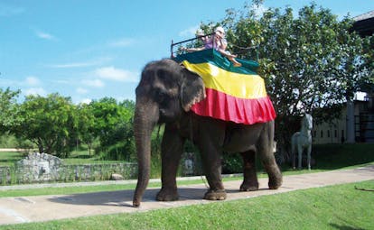 The Elephant Corridor Sri Lanka elephant ride children riding elephant with colourful blanket