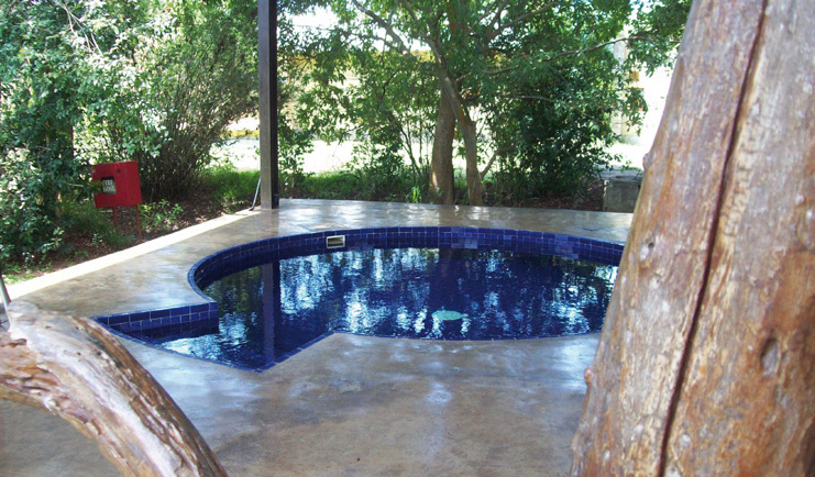 The Elephant Corridor Sri Lanka outdoor pool small circular pool surrounded by trees