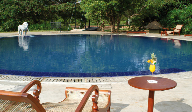 The Elephant Corridor Sri Lanka outdoor swimming pool lion fountain lounger