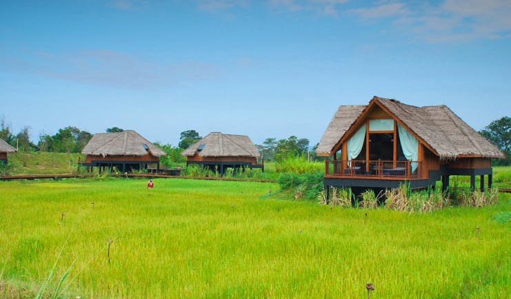 Jetwing Vil Uyana Sri Lanka paddy fields bungalows amongst the paddy fields