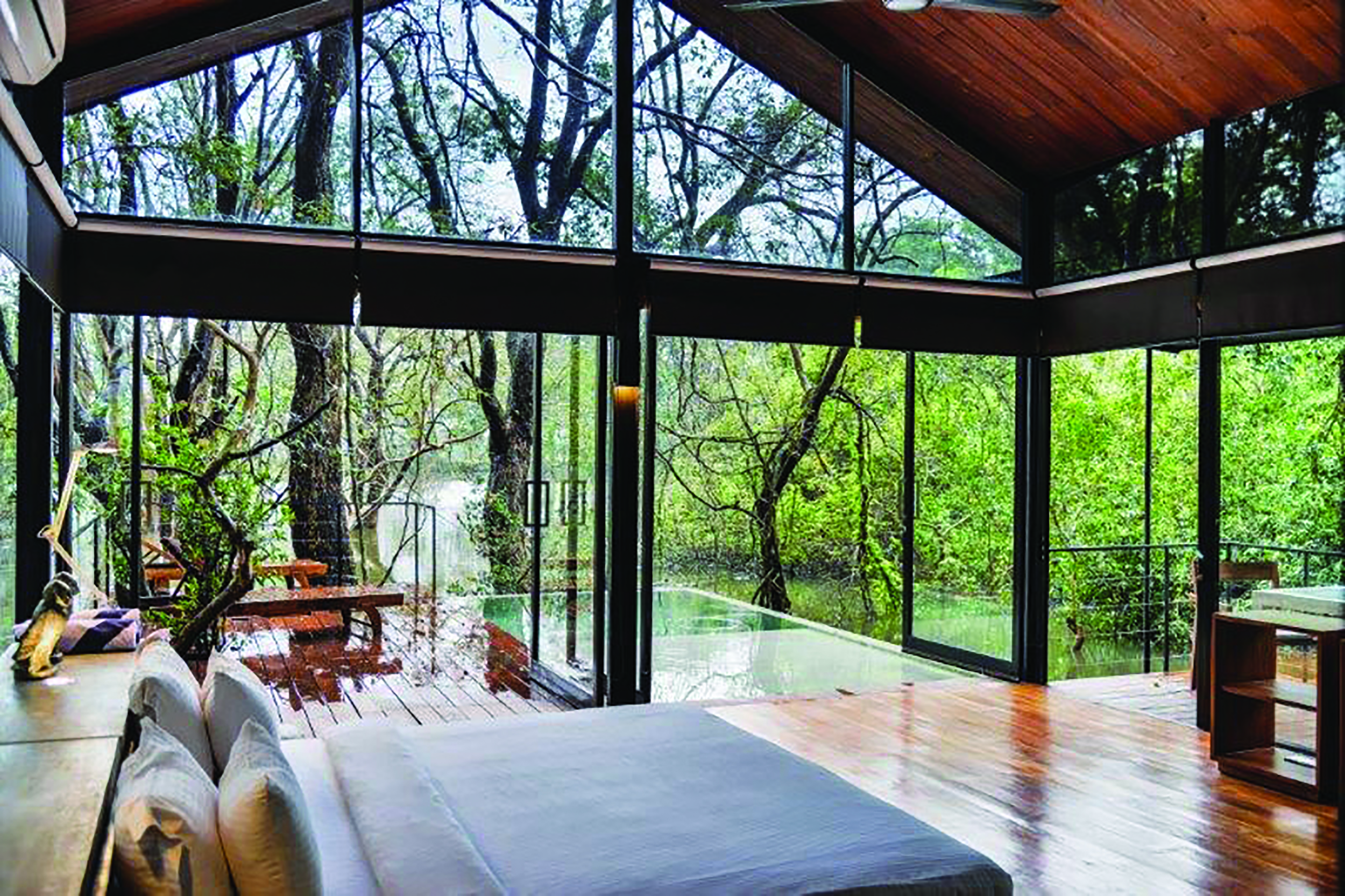 Kalundewa Retreat kumbuk chalet, double bed, terrace with plunge pool, view of tops of trees