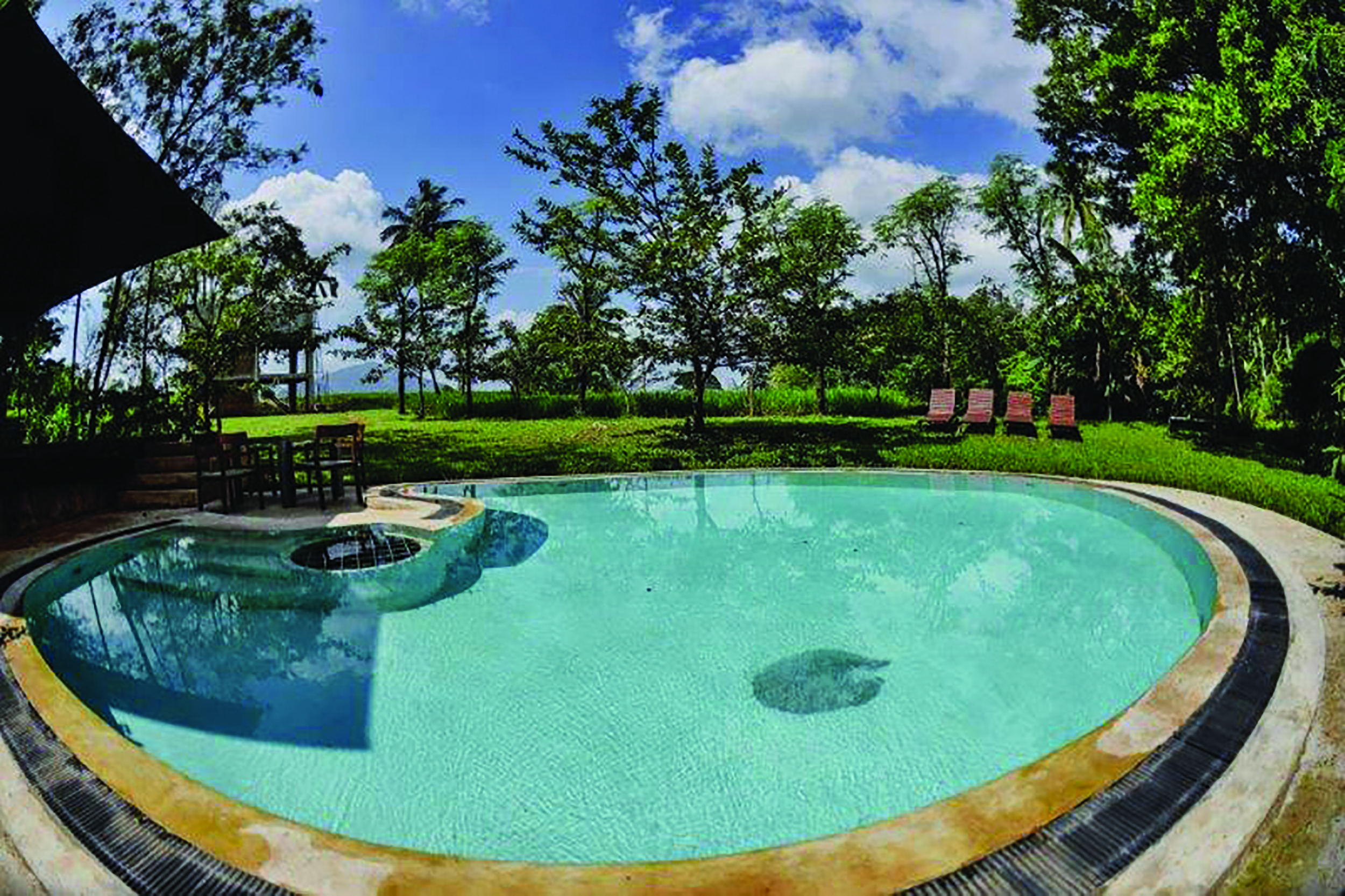 Kalundewa Retreat pool, surrounded by lawns, sun loungers