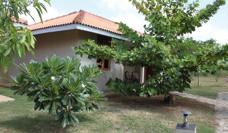 Kassapa Lion Rock Sri Lanka bungalow exterior trees 