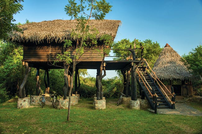 The Mudhouse stilted hut exterior, ladder to hut raised on stilts, green trees