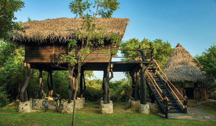 The Mudhouse stilted hut exterior, ladder to hut raised on stilts, green trees