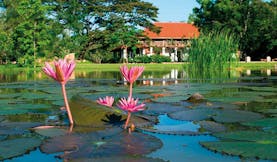 Ulagalla Resort Sri Lanka water lilies on pond gardens and hotel