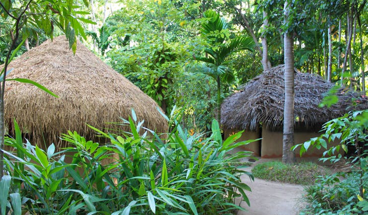 Ulpotha Sri Lanka Ayurveda centre wood thatched huts and forest
