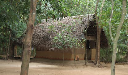 Ulpotha Sri Lanka exterior wooden hut thatched roof trees