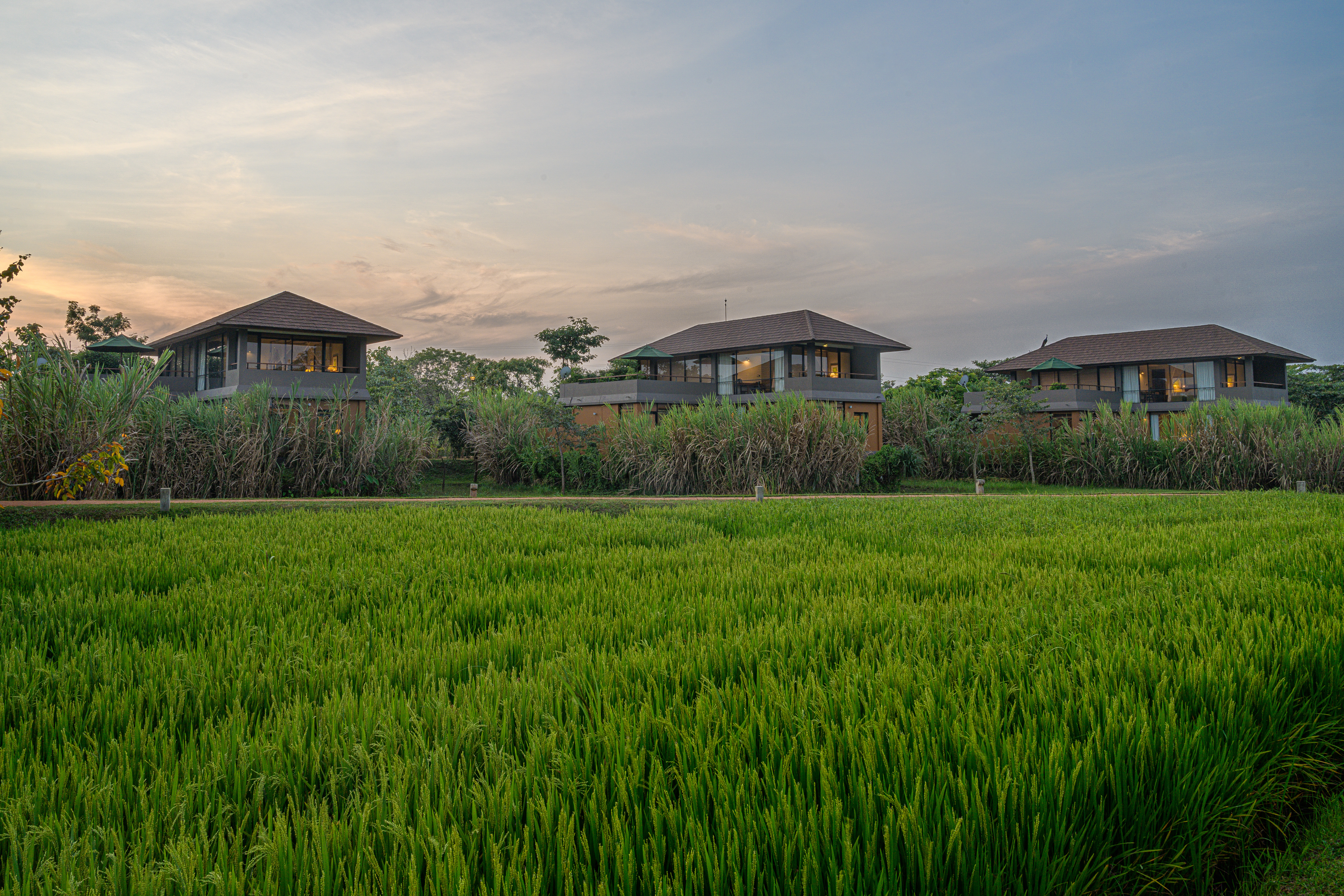 Water Garden Sigiriya