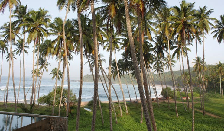 Amanwella Sri Lanka exterior gardens beach palm trees ocean