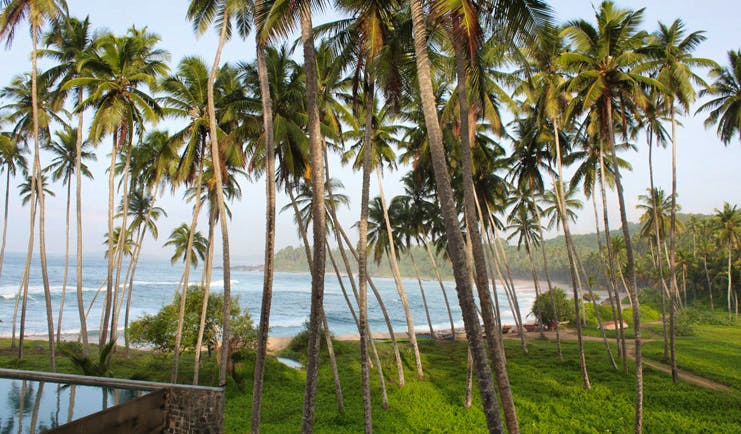 Amanwella Sri Lanka exterior gardens beach palm trees ocean