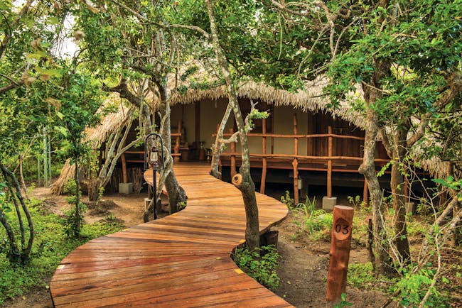 Chena Huts cabin entrance, raised decking above the ground, thatched roofed cabin, surrounded by trees