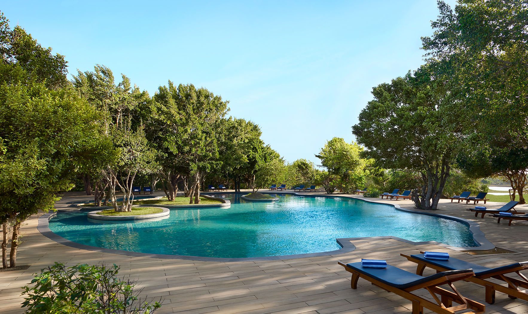 Cinnamon Wild pool, sun loungers on decking, surrounded by tropical trees
