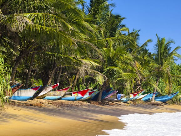 Boats stored on the sand on a beach in Galle, lapping waves, palm trees, colourful boats