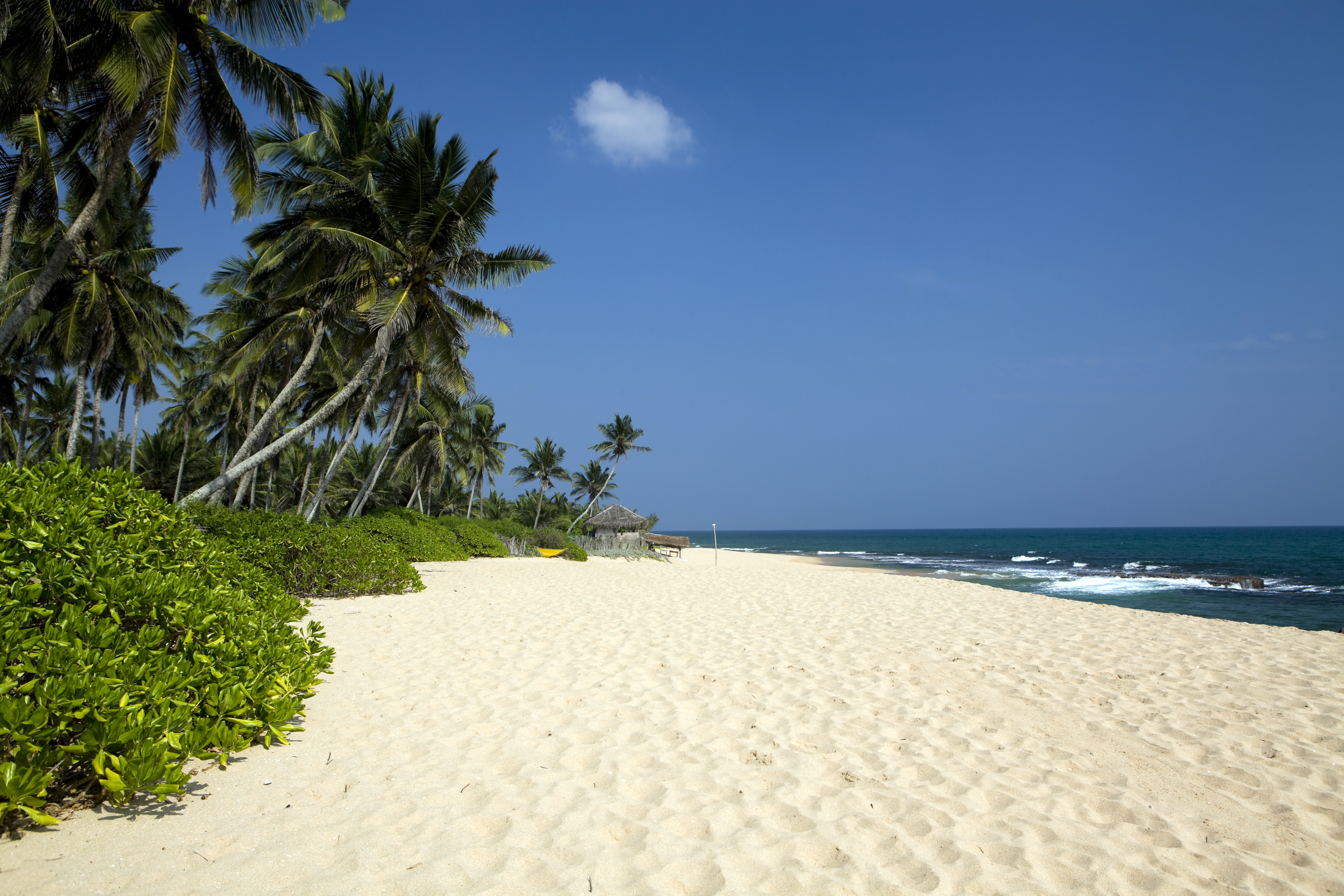 A beach near Tangalle, white sand, blue sea, palm trees, tropical greenery