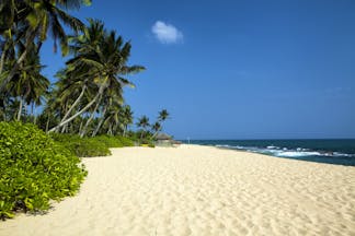 A beach near Tangalle, white sand, blue sea, palm trees, tropical greenery