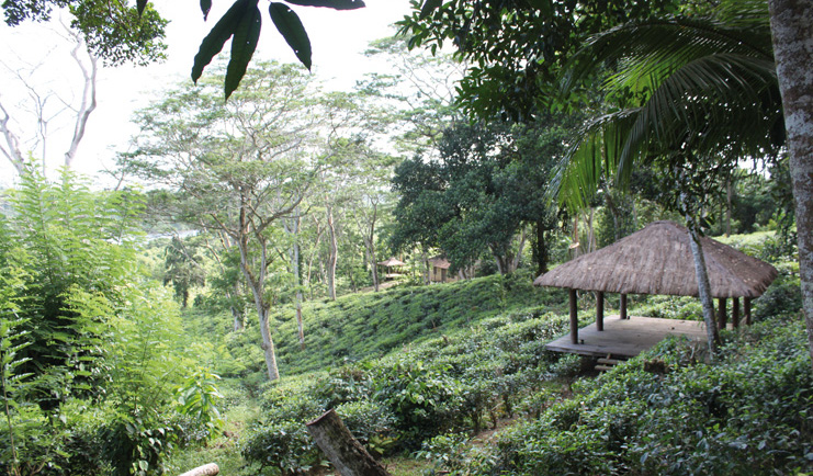 Kahanda Kanda Sri Lanka yoga pavilion in garden 