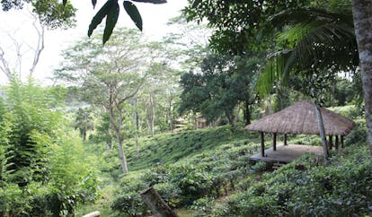 Kahanda Kanda Sri Lanka yoga pavilion in garden 