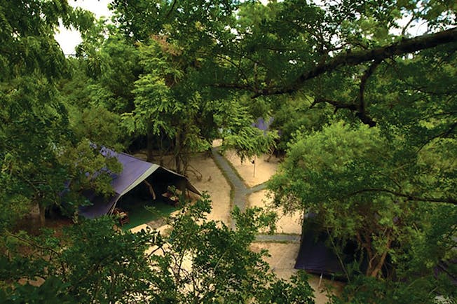 Leopard Trails camp aerial shot, tent, path through the park, trees