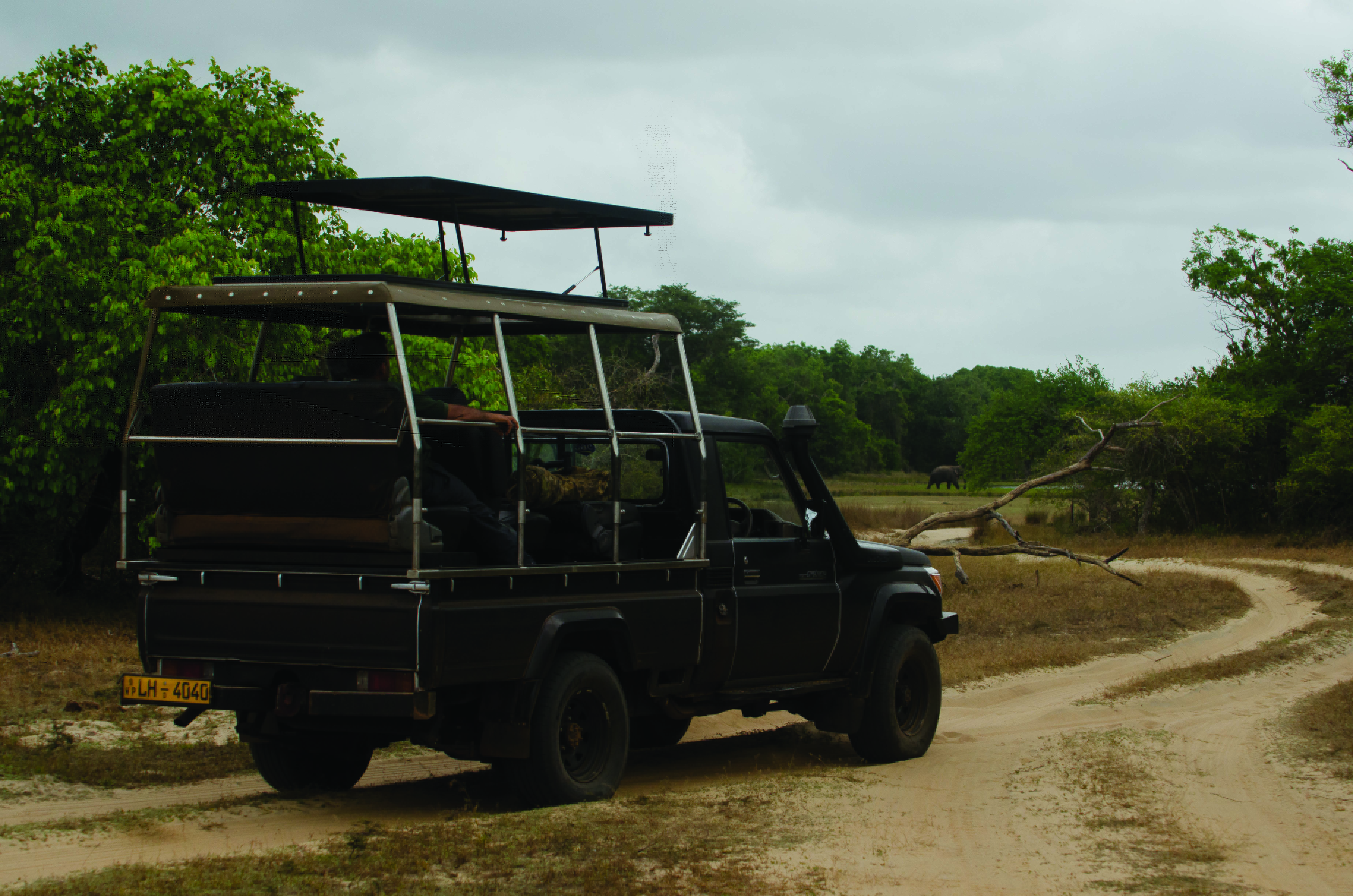 Leopard Trails safari vehicle, driver, viewing area