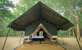 Leopard Trails tent exterior, large tent with two chairs outside door