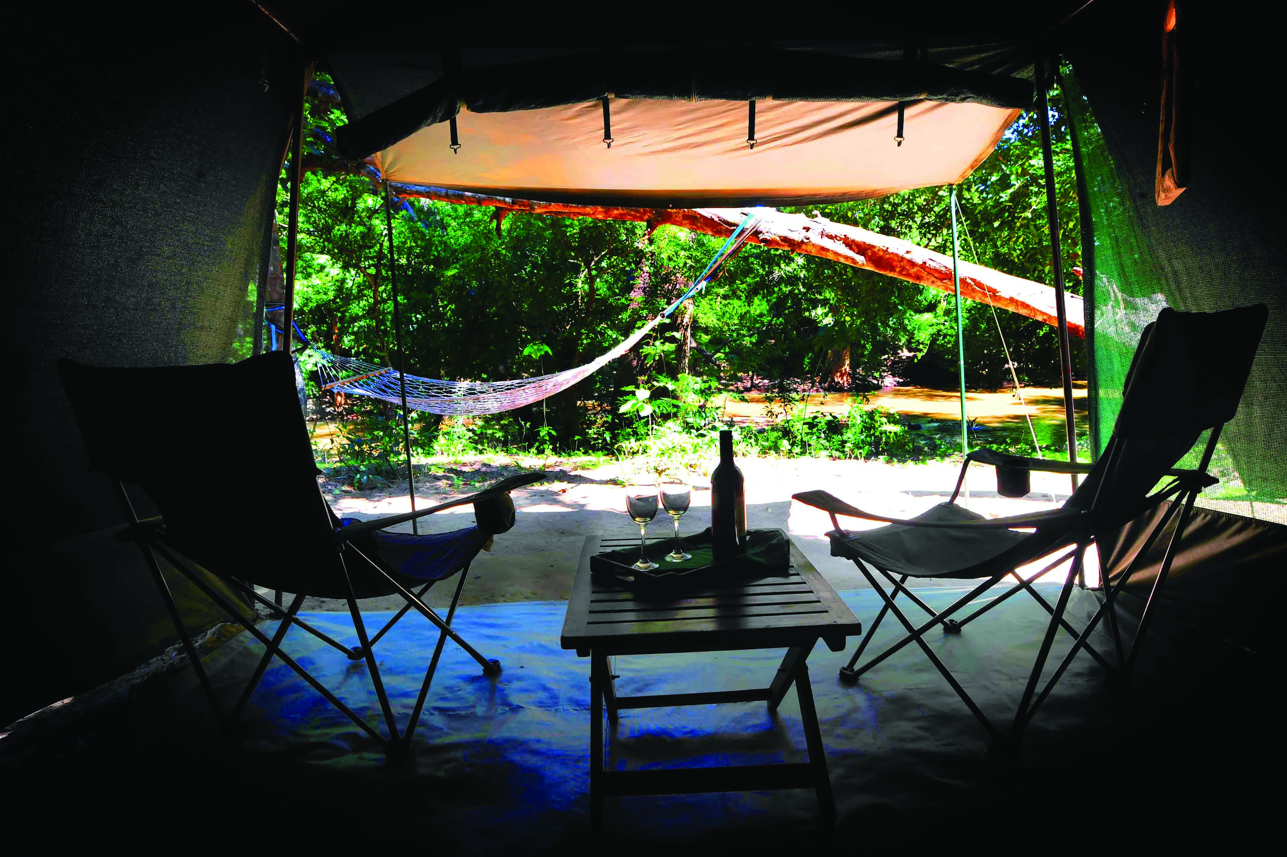 Noel Rodrigos Leopard Safari Sri Lanka leopard on the prowl