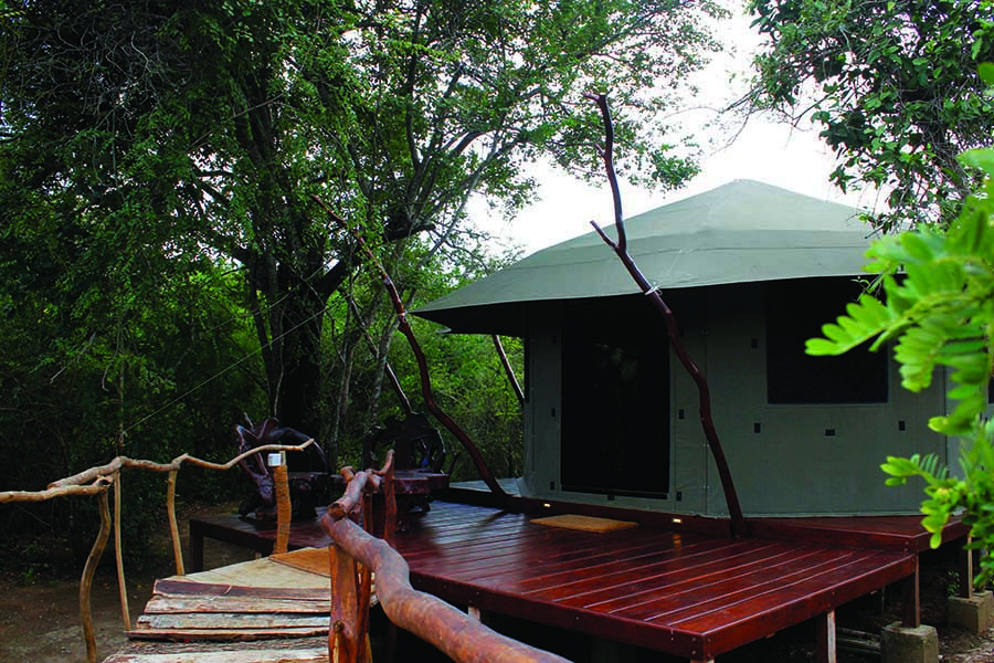 Noel Rodrigos Leopard Safari Sri Lanka tent exterior stairway private terrace 