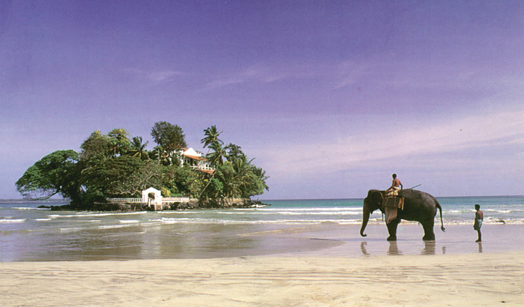 Taprobane Island Sri Lanka island elephants view of island from the beach with men leading elephant in the water
